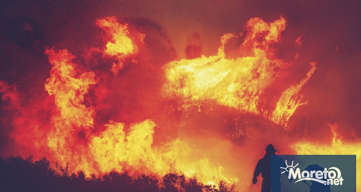 Големи горски пожари бушуват в турските окръзи Хатай, Чанаккале и