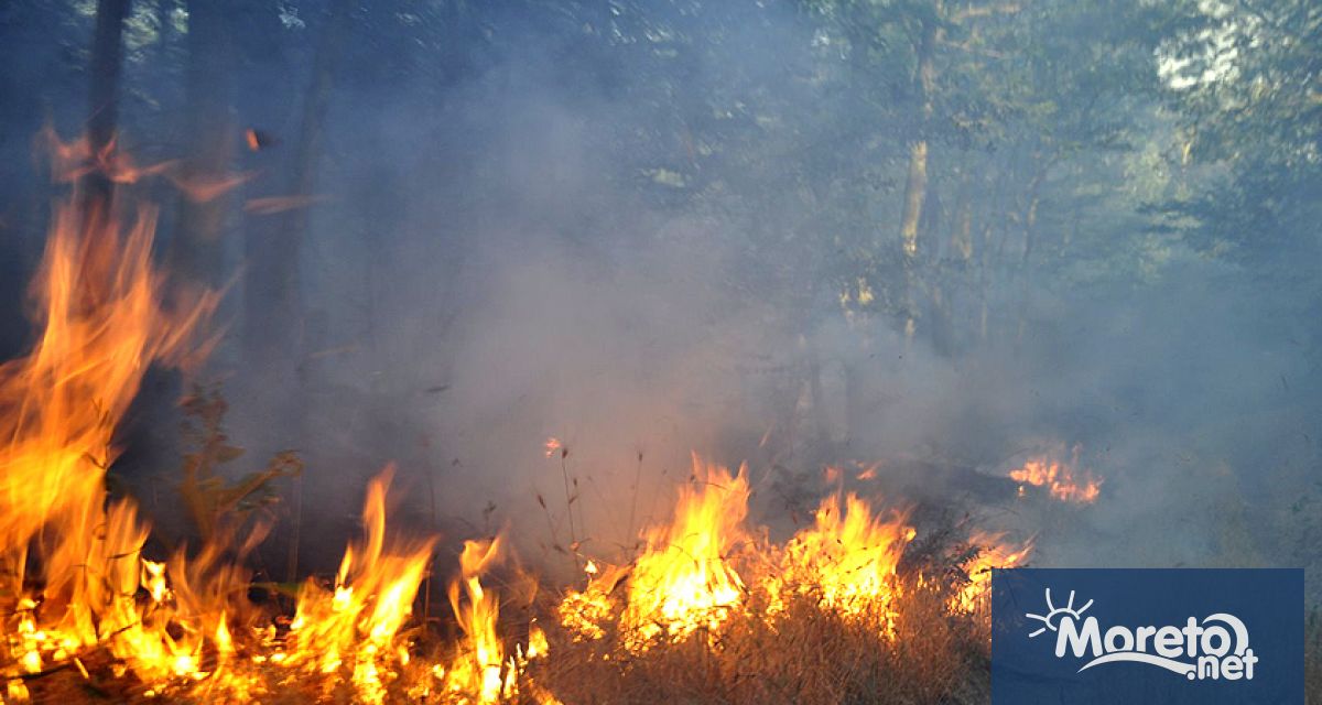 10 000 декара горски и полски площи продължават да горят