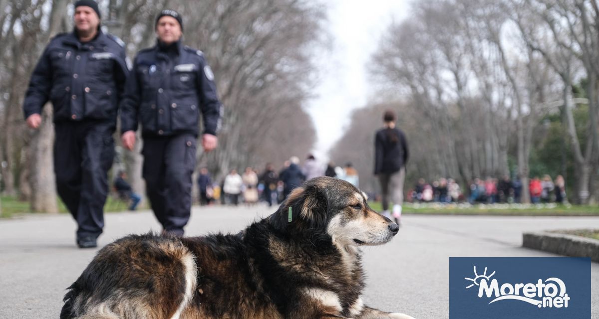 Създаването на зоополиция във Варна която да осъществява контрол върху