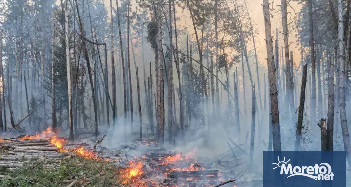 Над 100 000 дка за изгорели в Югоизточна България до