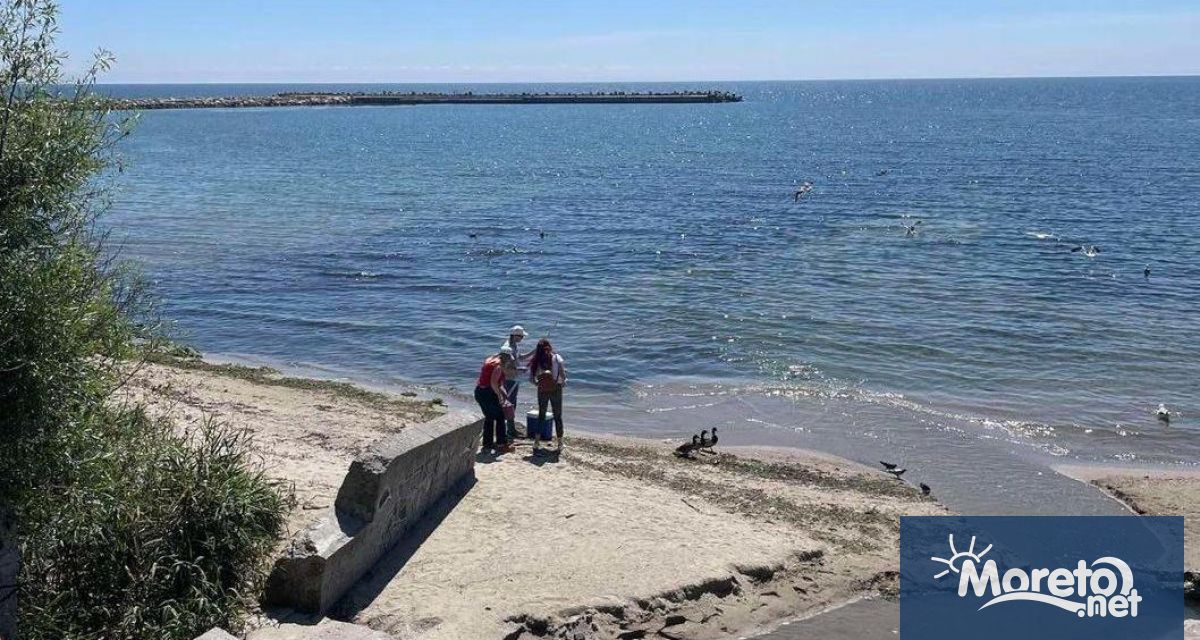 Отклонения от стандартите за качество на крайбрежни морски води бяха