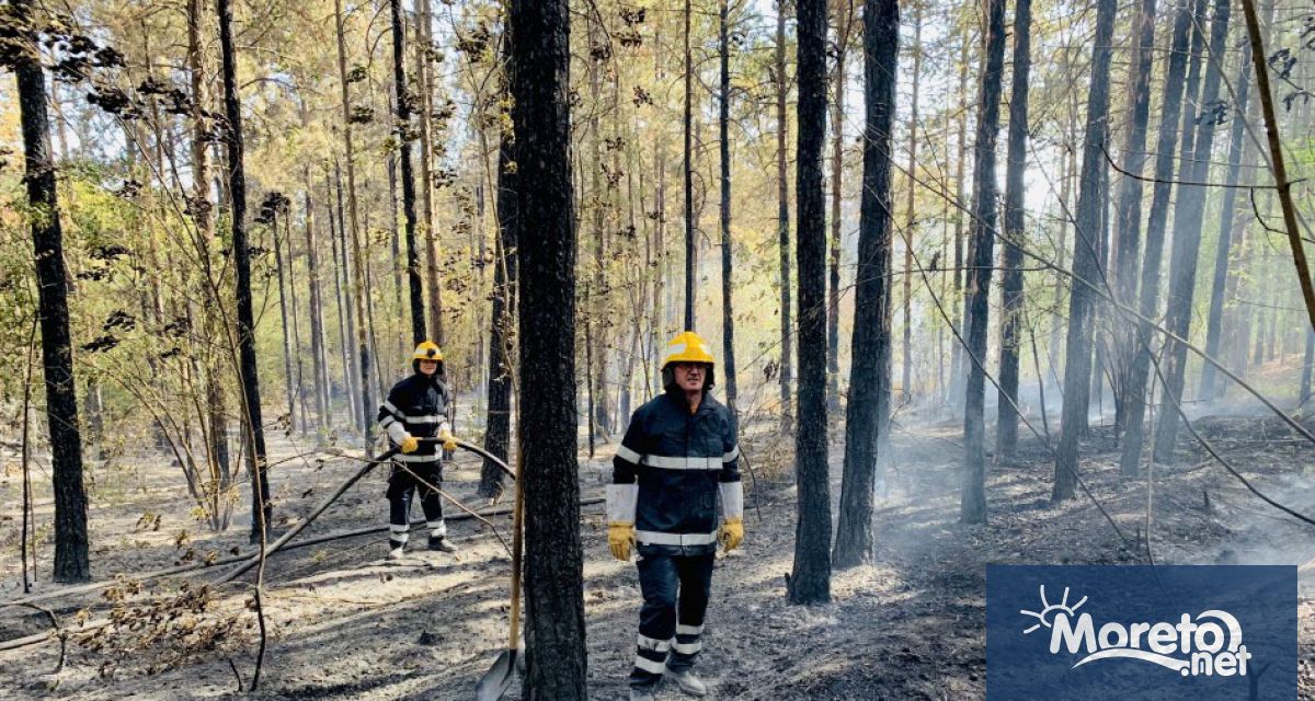 Във връзка с активния летен сезон и високите дневни температури