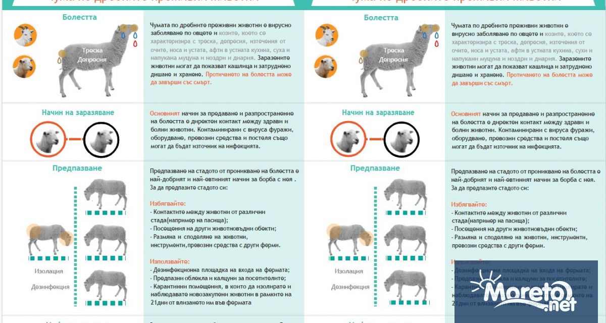 Българската агенция по безопасност на храните БАБХ приема сигнали на