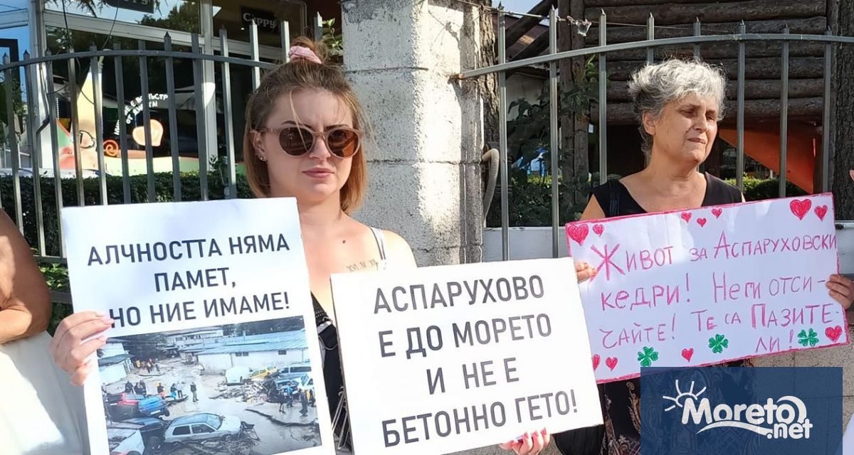 Двайсетина души се събраха на протеста пред Община Варна срещу