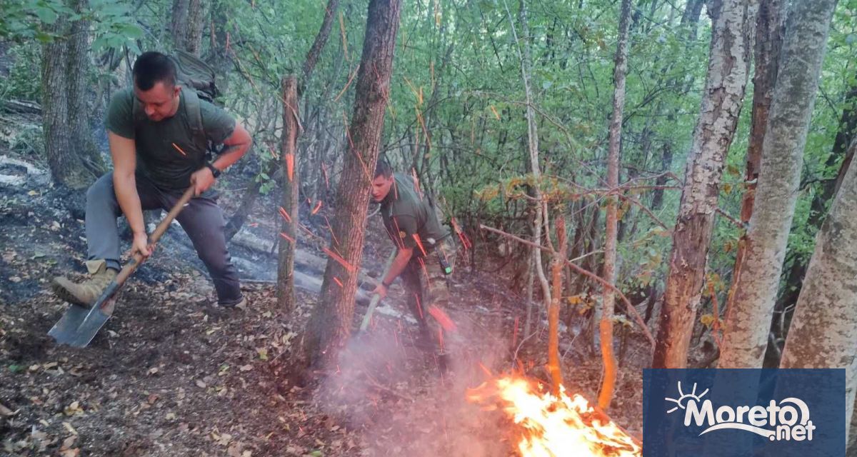 Двадесет и пет поредни дни военнослужещи от Сухопътните войски помагат