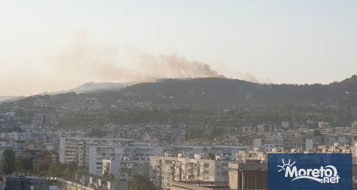 Пожарът в гората край Каменар е овладян към момента Това