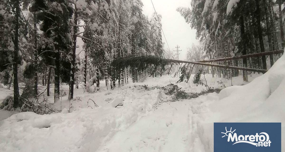 Падналите дървета и непочистени пътища затрудняват отстраняването на авариите в