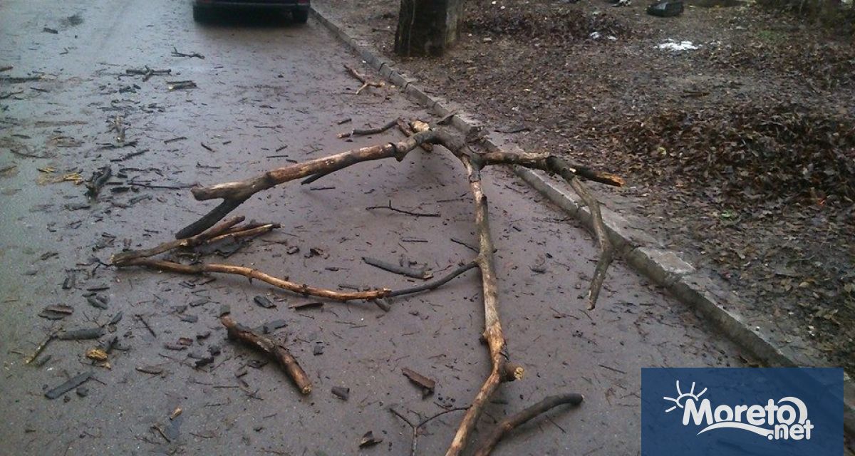 Няма регистрирани сериозни щети вследствие на силния вятър във Варна.
На