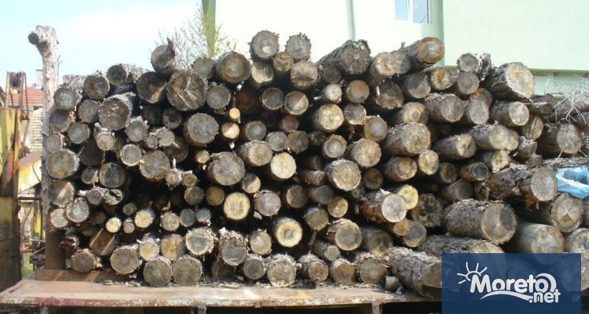 България спира износа на необработена дървесина през следващите три месеца,